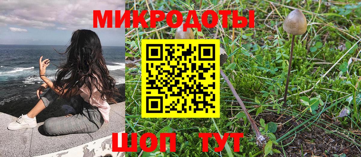 Псилоцибиновые грибы MAGIC MUSHROOMS  Вход с VPN  где найти   Калининград 