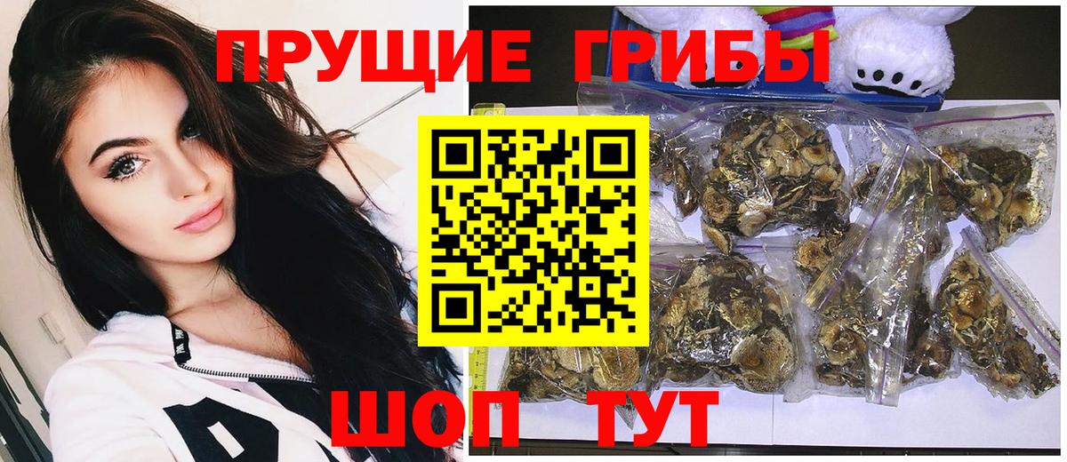Галлюциногенные грибы ЛСД Калининград